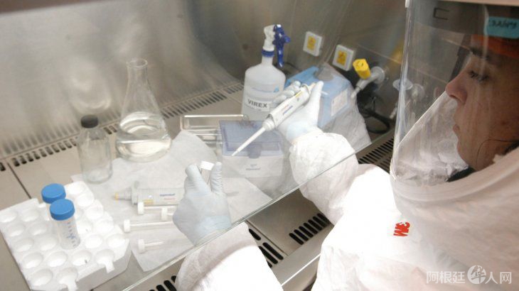 variante-deltajpg variante-deltajpg