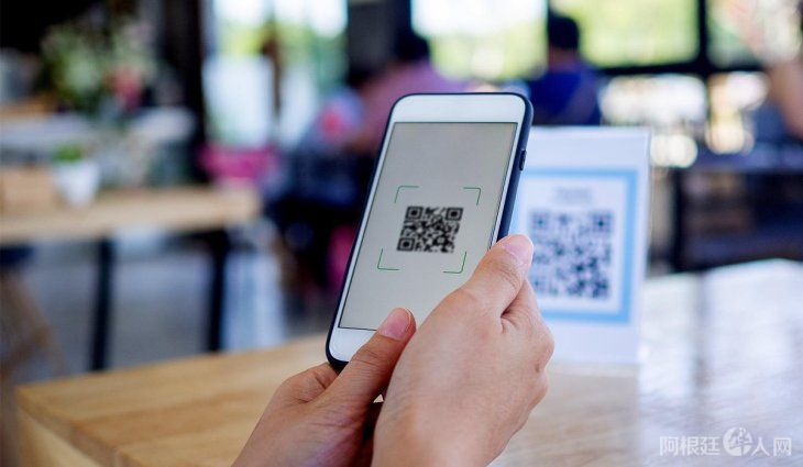 transferencia-30 transferencia-30