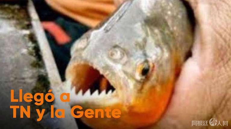 CX56KXSVQZDRFBH2AWE2UWITQU CX56KXSVQZDRFBH2AWE2UWITQU