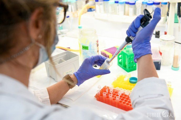 vacunajpg (1) vacunajpg (1)