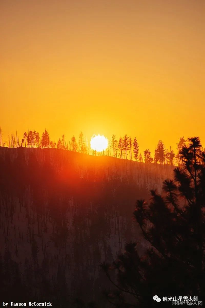 微信图片_20220309192731