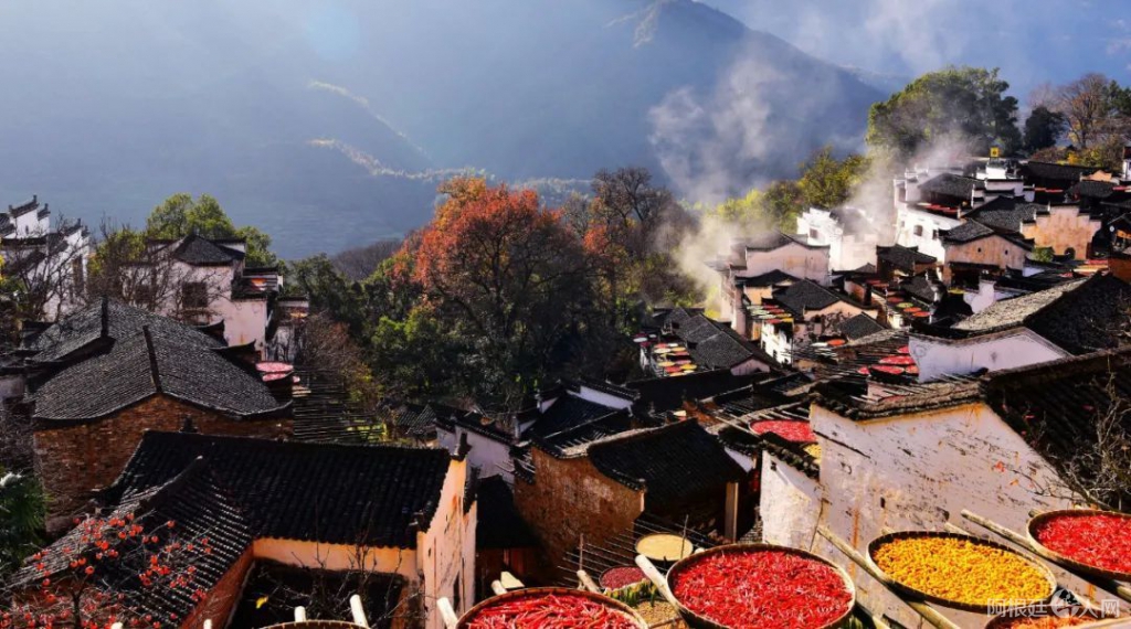 微信图片_20220311152521 微信图片_20220311152521