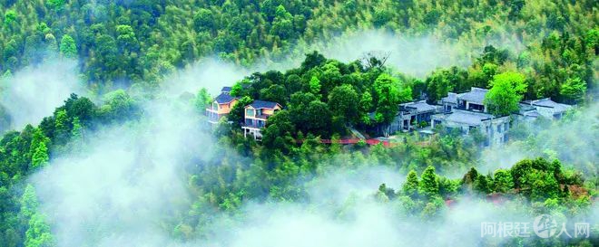 微信图片_20220311152758 微信图片_20220311152758