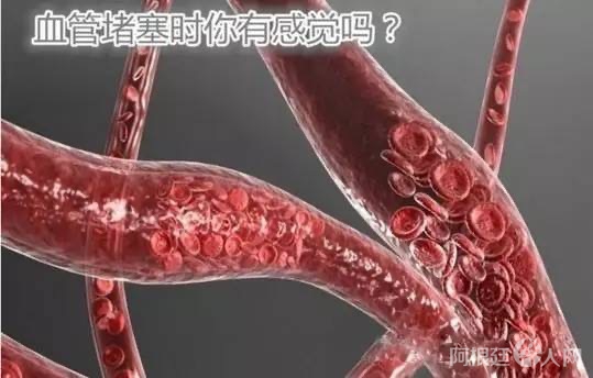 60D66EF6-FEDD-466B-A9A6-A277C7448521