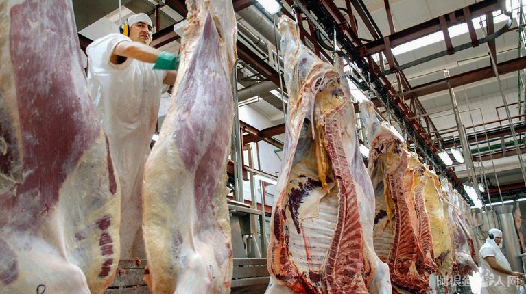 PIHDIQ4PTVB2VBIP32G6XDFWZU