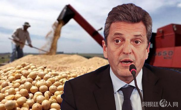 massa-sojajpg massa-sojajpg