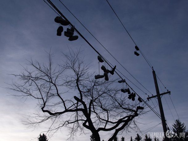 zapatillas-colgadas-los-cables