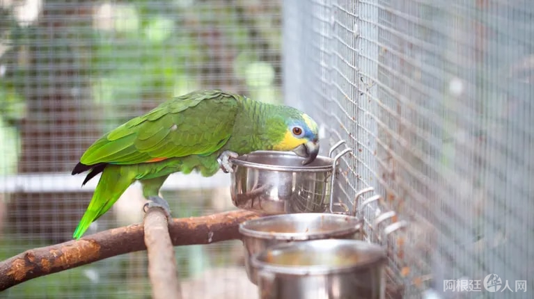 FVOGURXMK5EPRDF3EZ5YHLRDYA