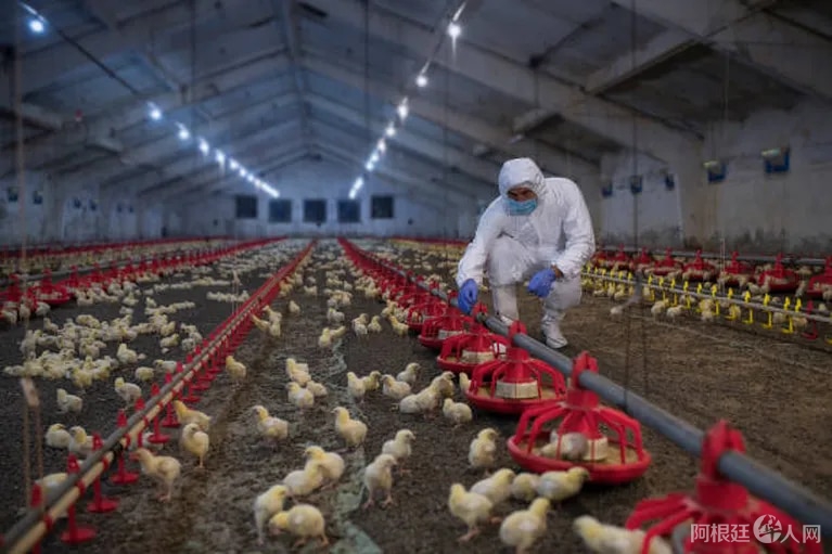 6Y2AR65RNNFG3O6R2AZS4736TA