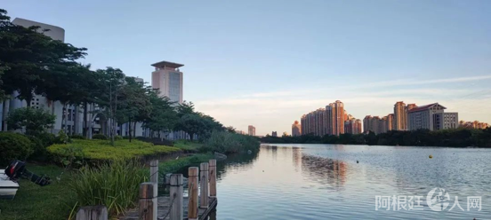 图片_20230321223150