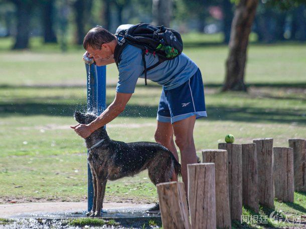 clima-calor-ola-calor clima-calor-ola-calor