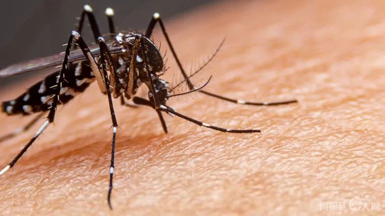 EMQ4OYDHNRHWNOCDJSKDNEGSXA EMQ4OYDHNRHWNOCDJSKDNEGSXA