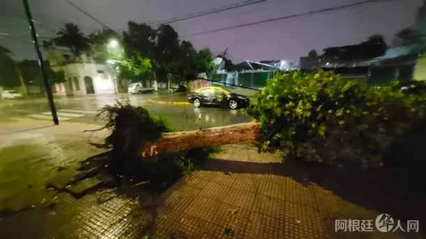 cortes_luzjpg cortes_luzjpg