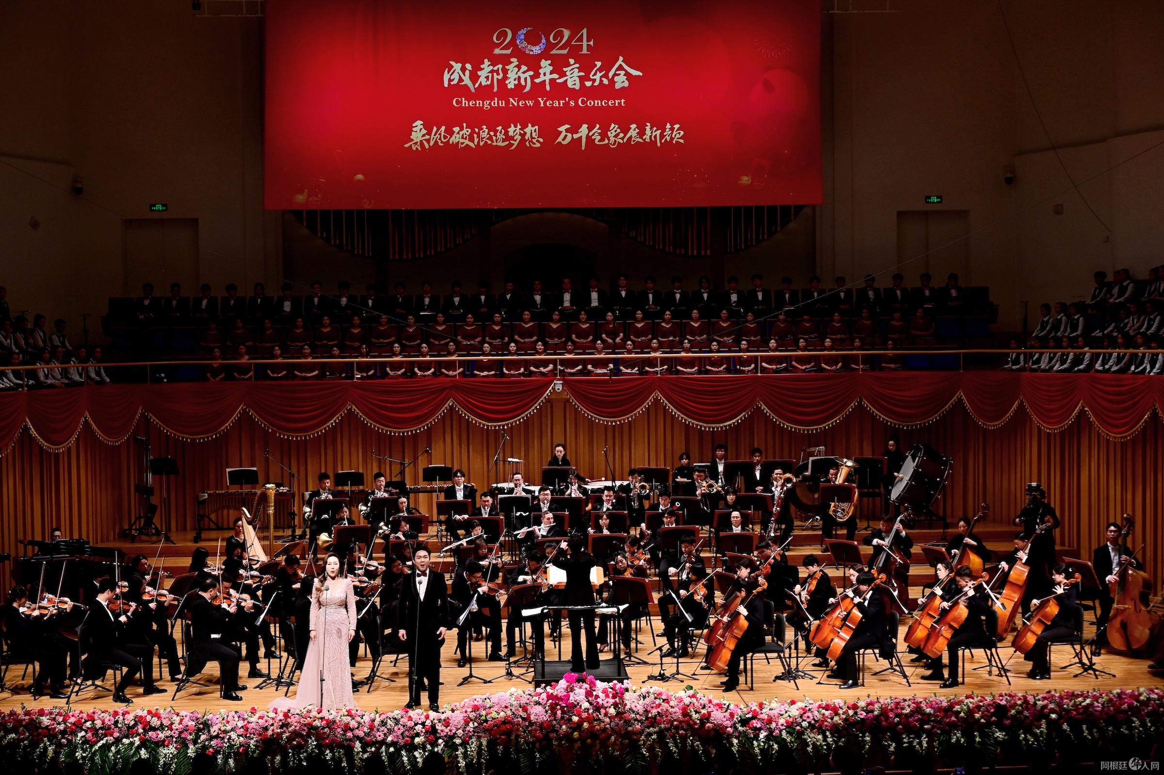 微信图片_20231229104338 微信图片_20231229104338