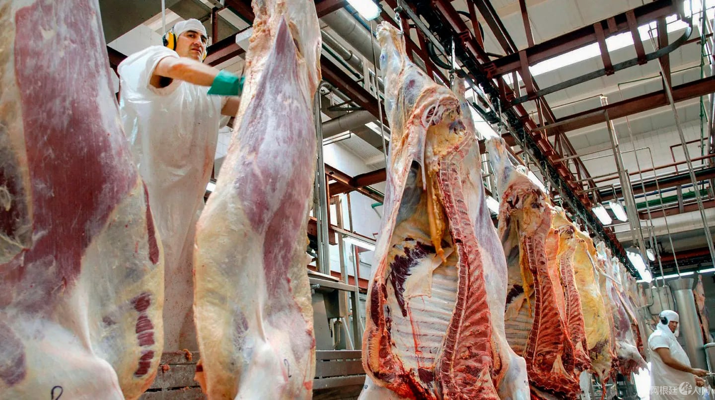 7TL7ZXZA7RHFFK3H3WL6KZQ6LA