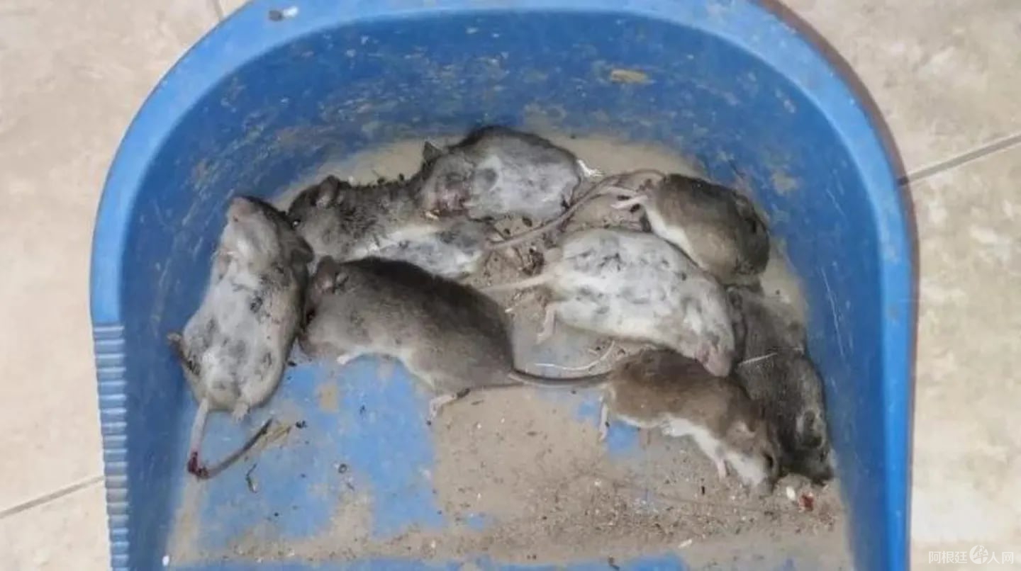 E3OGG3IVX5H7ZMGIBRIIUZHLPU