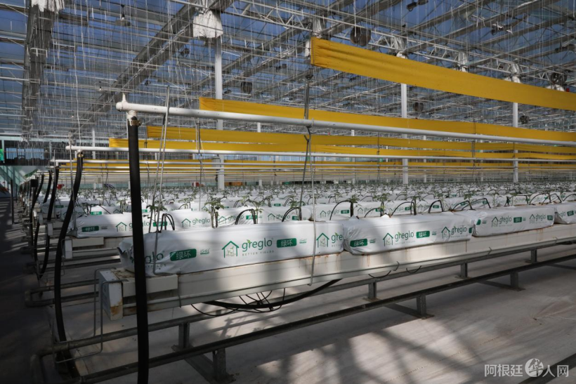 20240924072612783 20240924072612783