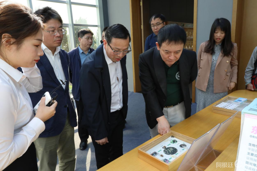 20240924072612244 (1) 20240924072612244 (1)