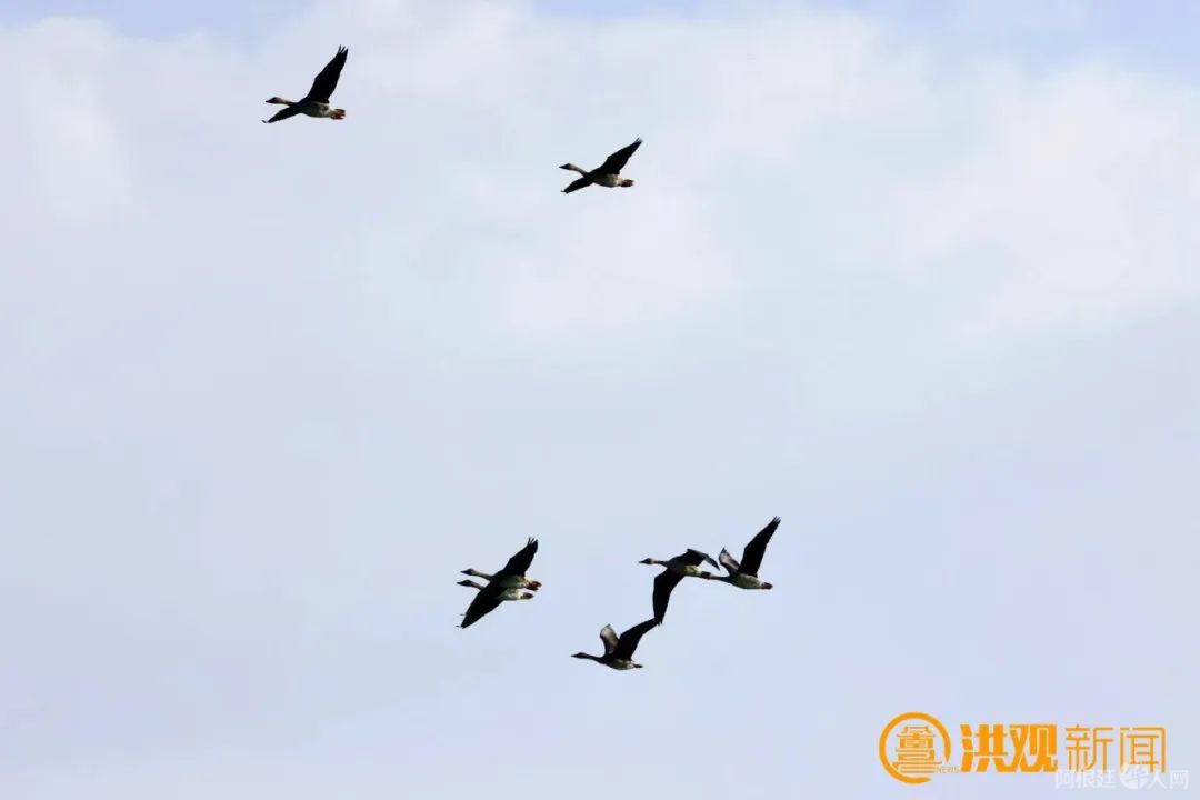 3fc2ccef-e8fb-4a0d-8407-eba9bd55122a 3fc2ccef-e8fb-4a0d-8407-eba9bd55122a