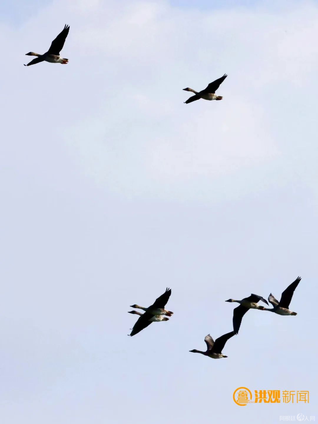 c315f079-9c6d-46dc-aab5-935b05eea07e c315f079-9c6d-46dc-aab5-935b05eea07e