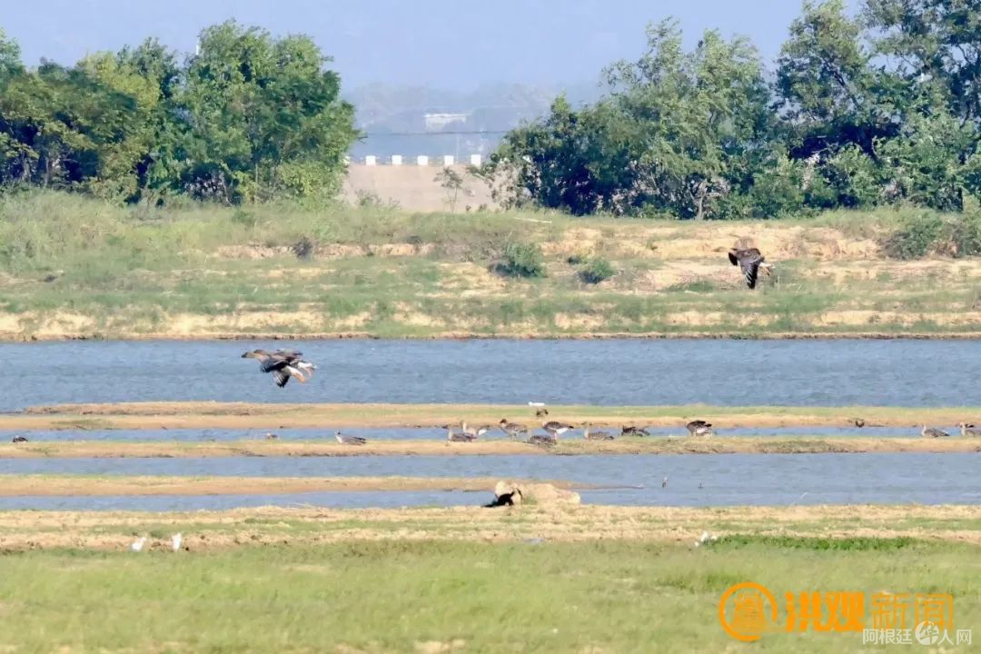 a96754cd-bf9a-4665-9a44-998d88b37c4d a96754cd-bf9a-4665-9a44-998d88b37c4d