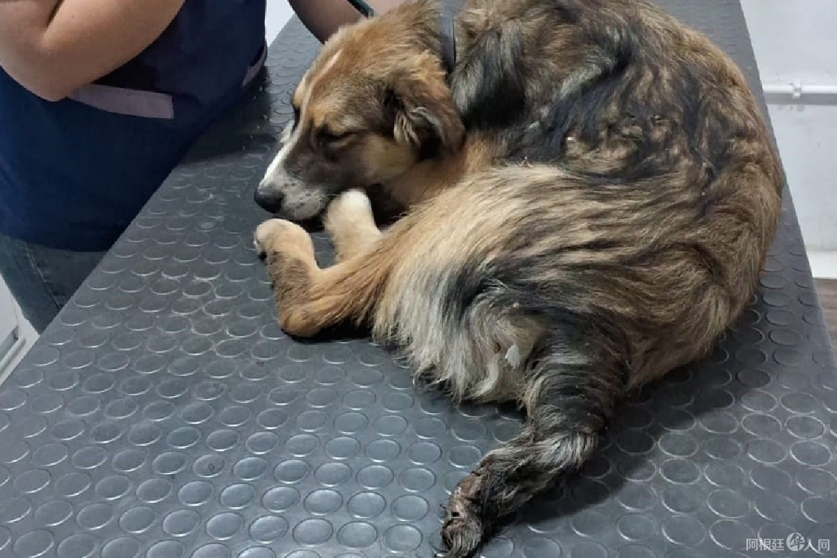 o_1729219860 o_1729219860