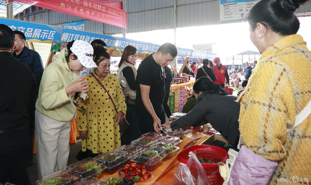 fdd9491855b4ca51f3cbe35526225eba