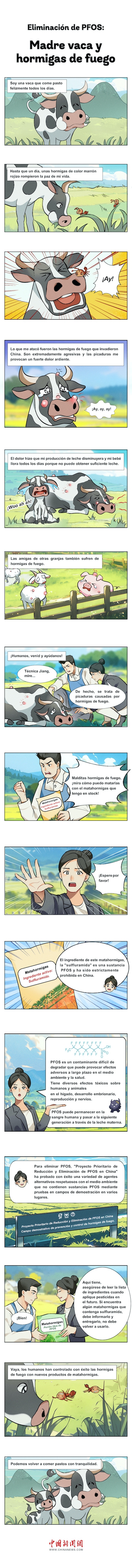 01第一期第1张-牛妈妈与红火蚁-西班牙语 01第一期第1张-牛妈妈与红火蚁-西班牙语