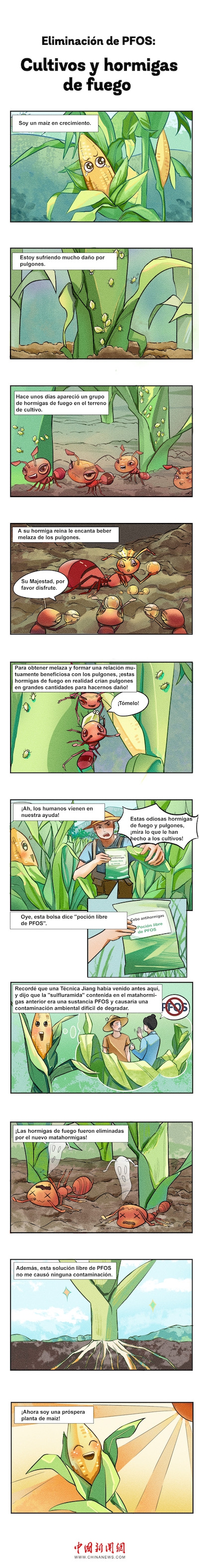 02-第一期第2张-庄稼与红火蚁-西班牙语 02-第一期第2张-庄稼与红火蚁-西班牙语