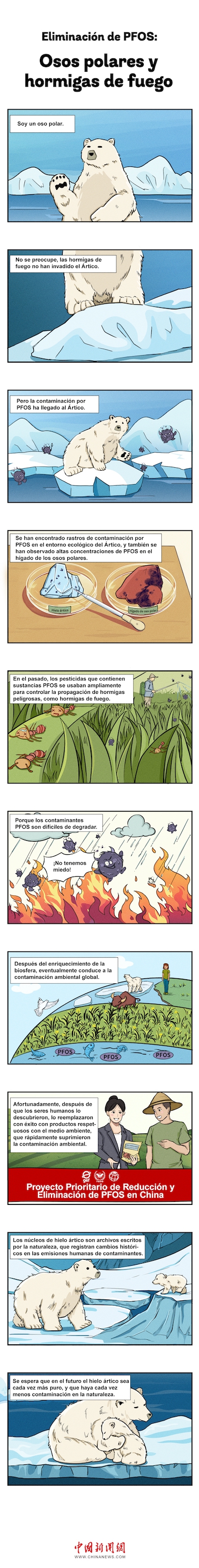 03第一期第3张-北极熊与红火蚁-西语 03第一期第3张-北极熊与红火蚁-西语