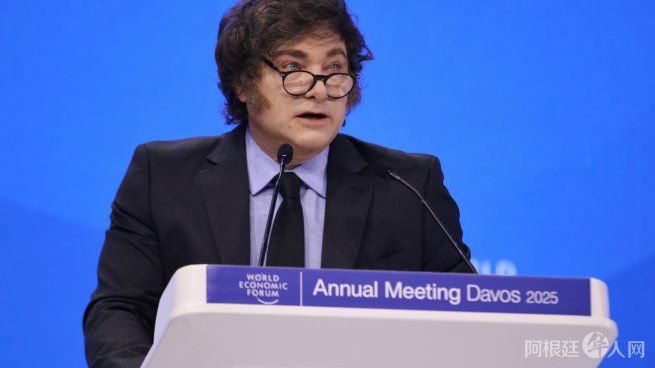 javier-milei-foro-davos-2025jpeg javier-milei-foro-davos-2025jpeg