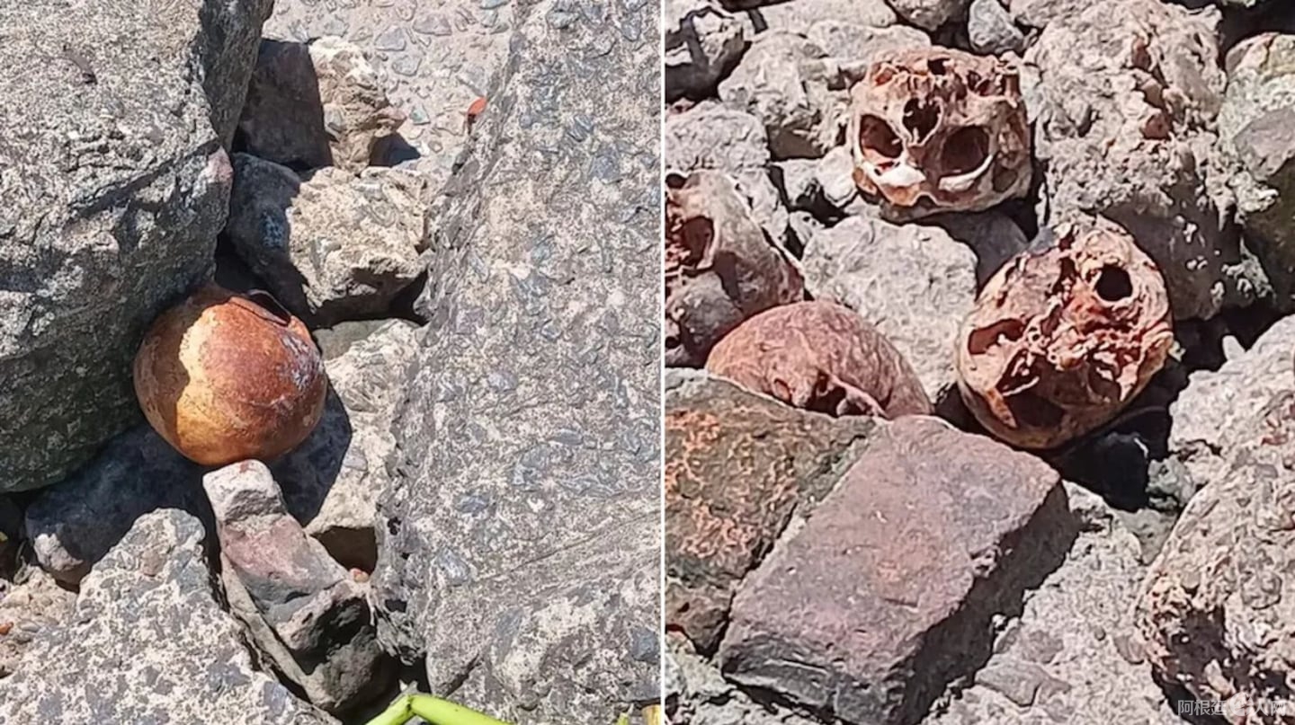 aparecieron-17-craneos-humanos-en-la-ribera-de-quilmes-foto-gentileza-el-diario-sur-D3LJM4GDHJCAVFSBWLY7SRUIFI