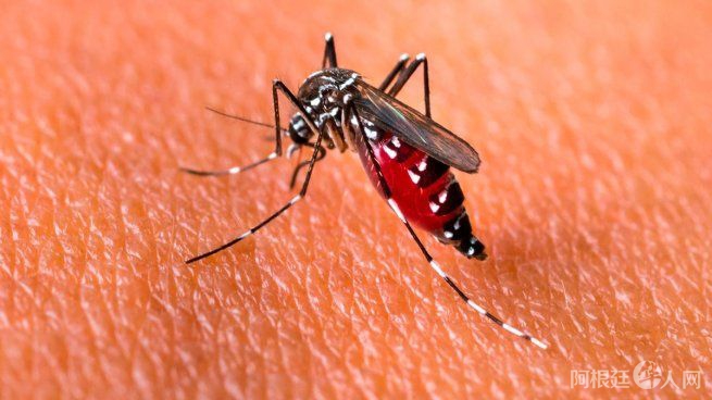 dengue-cambio-climaticojpg