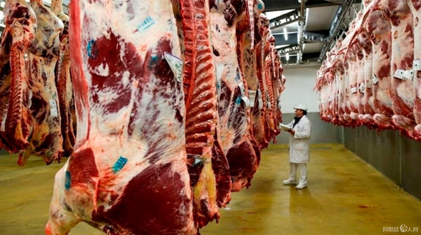 las-exportaciones-de-carne-bovina-de-junio-alcanzaron-un-volumen-cercano-a-las-615-mil-toneladas-por-un-valor-de-us3205-millones-SWKPNMBF2ZDCXPZBXLGGGH4JBM las-exportaciones-de-carne-bovina-de-junio-alcanzaron-un-volumen-cercano-a-las-615-mil-toneladas-por-un-valor-de-us3205-millones-SWKPNMBF2ZDCXPZBXLGGGH4JBM